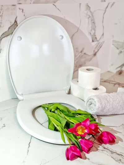 Daska Haro - slika 1